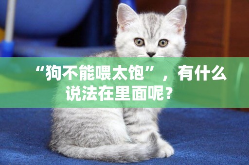 “狗不能喂太飽”，有什么說法在里面呢？ 
