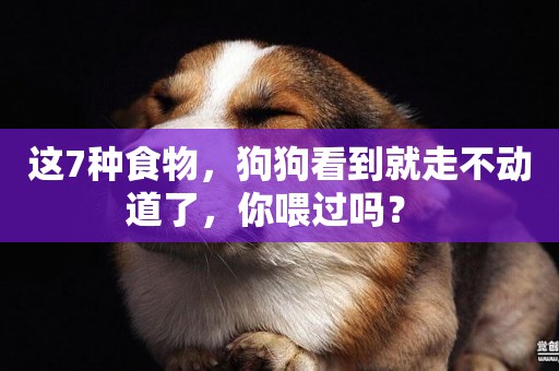 這7種食物，狗狗看到就走不動道了，你喂過嗎？ 