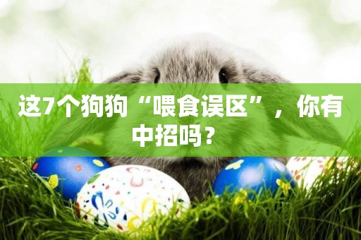 這7個狗狗“喂食誤區”，你有中招嗎？ 