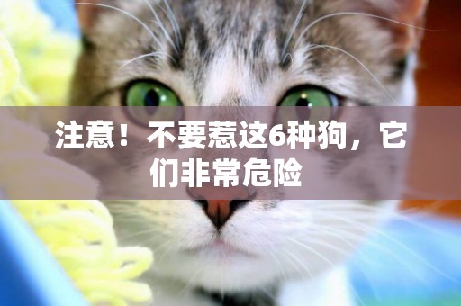 注意！不要惹這6種狗，它們非常危險 