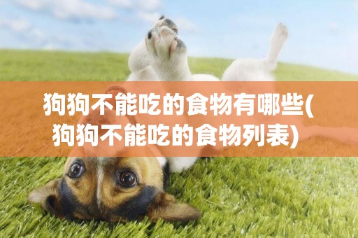 狗狗不能吃的食物有哪些(狗狗不能吃的食物列表) 