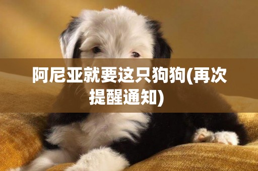 阿尼亞就要這只狗狗(再次提醒通知) 