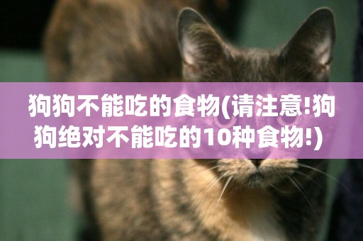 狗狗不能吃的食物(請注意!狗狗絕對不能吃的10種食物!) 