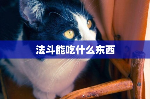 法斗能吃什么東西
