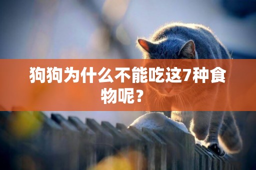 狗狗為什么不能吃這7種食物呢？ 