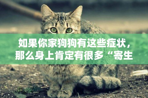 如果你家狗狗有這些癥狀，那么身上肯定有很多“寄生蟲” 