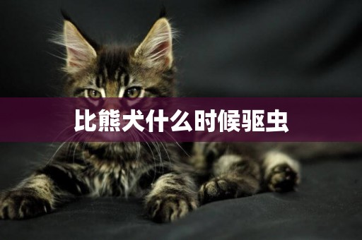 比熊犬什么時候驅蟲