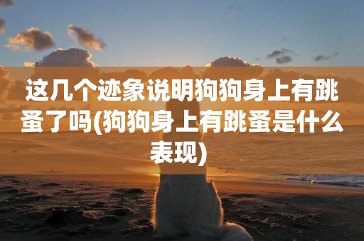 這幾個跡象說明狗狗身上有跳蚤了嗎(狗狗身上有跳蚤是什么表現) 