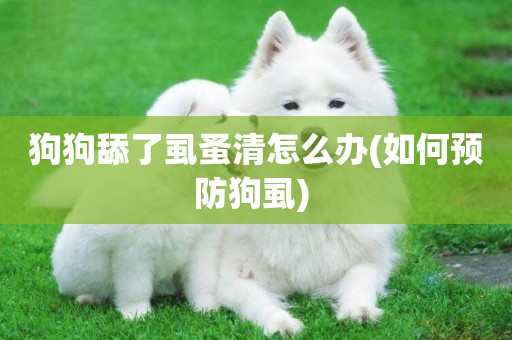 狗狗舔了虱蚤清怎么辦(如何預防狗虱) 