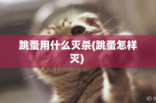 跳蚤用什么滅殺(跳蚤怎樣滅) 