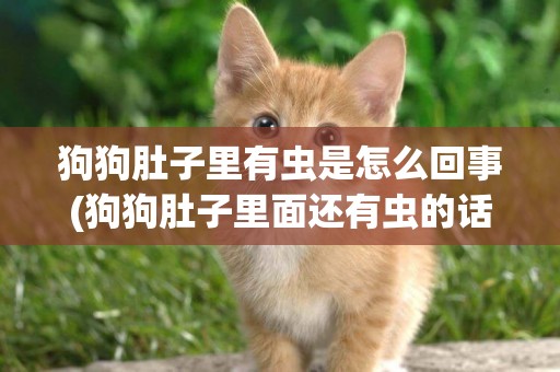 狗狗肚子里有蟲是怎么回事(狗狗肚子里面還有蟲的話怎么辦) 