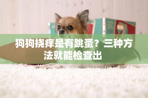 狗狗撓癢是有跳蚤？三種方法就能檢查出 