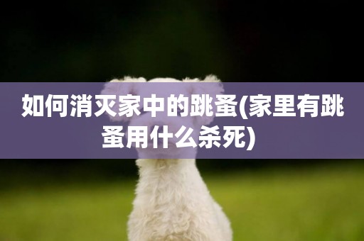 如何消滅家中的跳蚤(家里有跳蚤用什么殺死) 