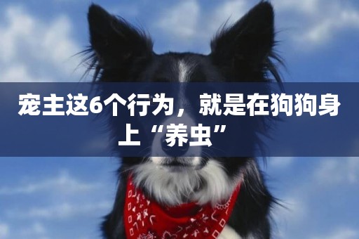 寵主這6個行為，就是在狗狗身上“養蟲” 