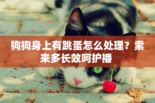 狗狗身上有跳蚤怎么處理？索來多長效呵護播 