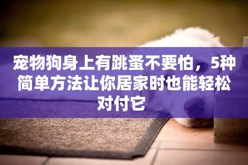 寵物狗身上有跳蚤不要怕，5種簡單方法讓你居家時也能輕松對付它 