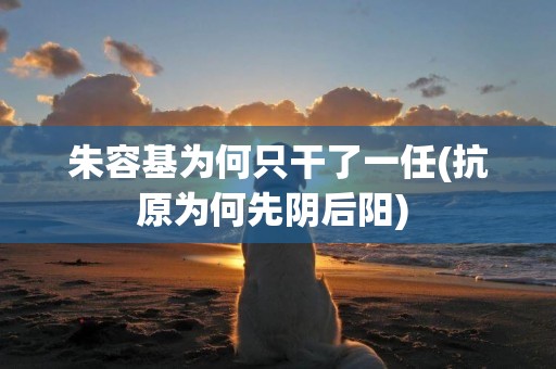 朱容基為何只干了一任(抗原為何先陰后陽) 