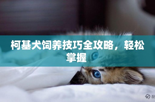 柯基犬飼養技巧全攻略，輕松掌握 