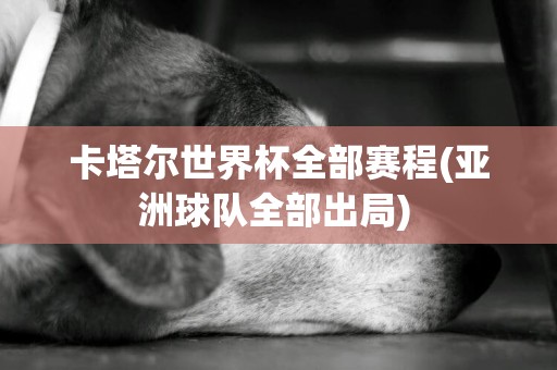 卡塔爾世界杯全部賽程(亞洲球隊全部出局) 