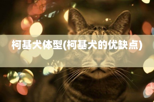 柯基犬體型(柯基犬的優缺點) 