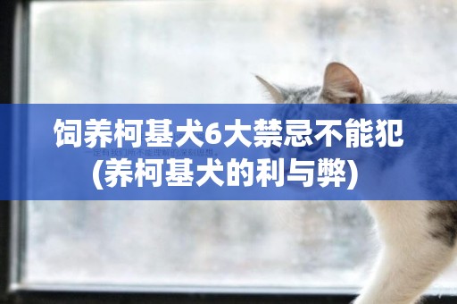 飼養柯基犬6大禁忌不能犯(養柯基犬的利與弊) 