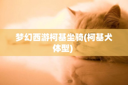 夢幻西游柯基坐騎(柯基犬體型) 