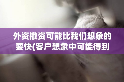 外資撤資可能比我們想象的要快(客戶想象中可能得到的服務) 