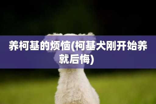 養柯基的煩惱(柯基犬剛開始養就后悔) 