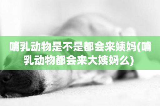 哺乳動物是不是都會來姨媽(哺乳動物都會來大姨媽么) 