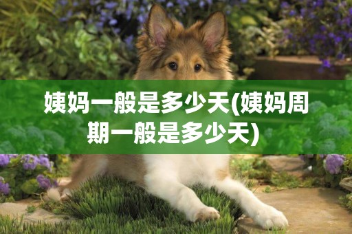 姨媽一般是多少天(姨媽周期一般是多少天) 