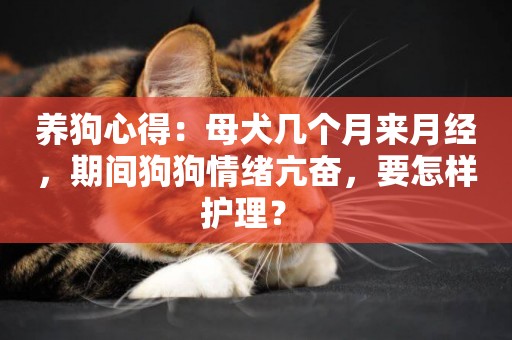 養狗心得：母犬幾個月來月經，期間狗狗情緒亢奮，要怎樣護理？ 