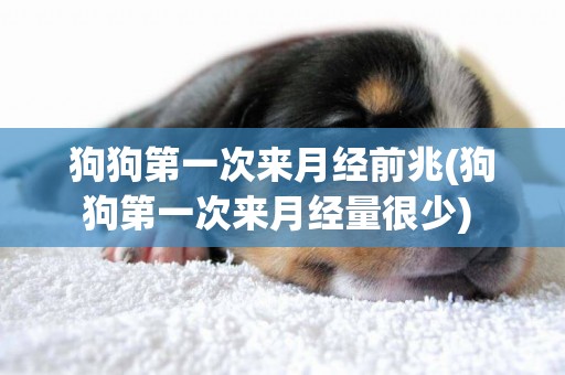 狗狗第一次來月經前兆(狗狗第一次來月經量很少) 