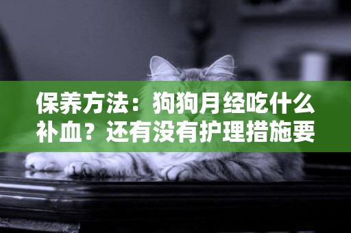 保養方法：狗狗月經吃什么補血？還有沒有護理措施要注意？ 