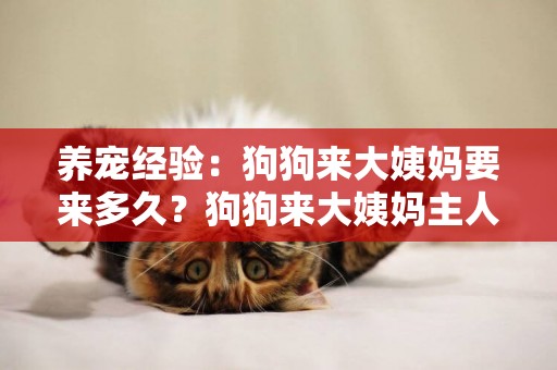 養寵經驗：狗狗來大姨媽要來多久？狗狗來大姨媽主人照顧的小貼士 