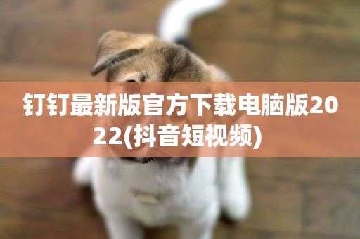 釘釘最新版官方下載電腦版2022(抖音短視頻) 