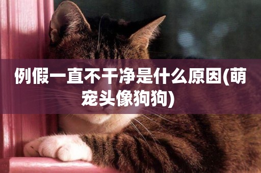 例假一直不干凈是什么原因(萌寵頭像狗狗) 