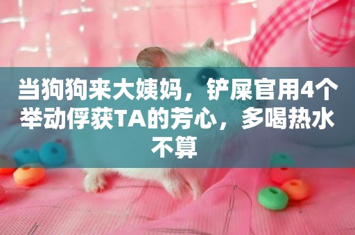 當狗狗來大姨媽，鏟屎官用4個舉動俘獲TA的芳心，多喝熱水不算 