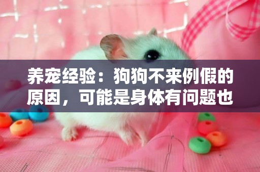 養寵經驗：狗狗不來例假的原因，可能是身體有問題也可能是懷孕了 