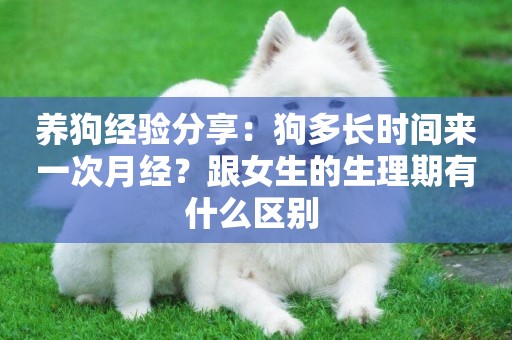 養狗經驗分享：狗多長時間來一次月經？跟女生的生理期有什么區別 