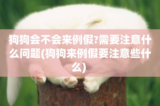 狗狗會不會來例假?需要注意什么問題(狗狗來例假要注意些什么) 
