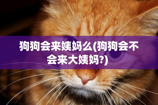 狗狗會來姨媽么(狗狗會不會來大姨媽?) 