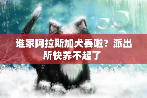 誰家阿拉斯加犬丟啦？派出所快養不起了 