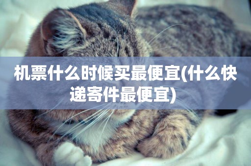 機票什么時候買最便宜(什么快遞寄件最便宜) 