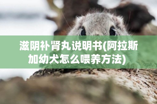 滋陰補腎丸說明書(阿拉斯加幼犬怎么喂養方法) 