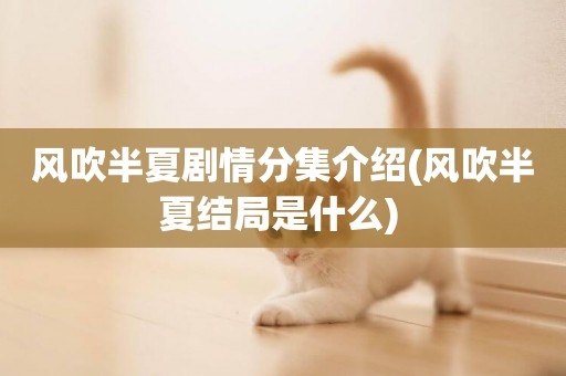 風吹半夏劇情分集介紹(風吹半夏結局是什么) 