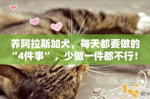 養阿拉斯加犬，每天都要做的“4件事”，少做一件都不行！ 