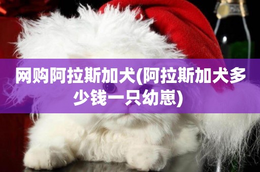 網購阿拉斯加犬(阿拉斯加犬多少錢一只幼崽) 