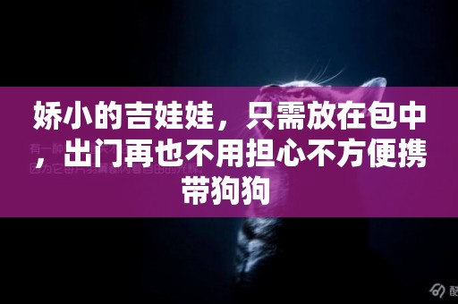 嬌小的吉娃娃，只需放在包中，出門再也不用擔心不方便攜帶狗狗 