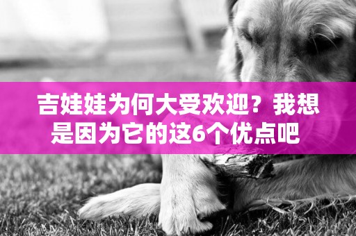 吉娃娃為何大受歡迎？我想是因為它的這6個優點吧 