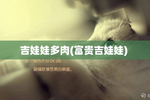 吉娃娃多肉(富貴吉娃娃) 
